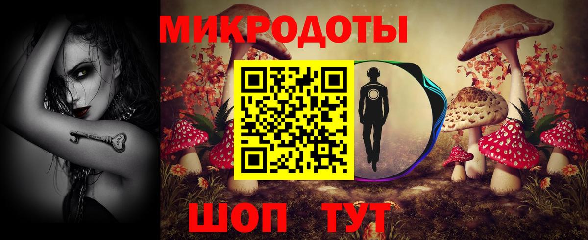 Галлюциногенные грибы Psilocybine cubensis Камень-на-Оби